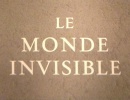 Pierre Arvay Le Monde invisible